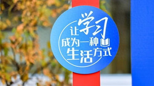 數(shù)字文化創(chuàng)意內(nèi)容應用服務 徐匯打造開放式學習空間，賦能家門口的美好教育